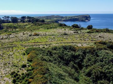 Parcelas en venta en Ancud con Vistas Privilegiadas al Mar