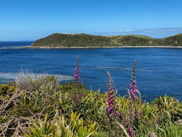 Parcelas en venta en Ancud con Vistas Privilegiadas al Mar