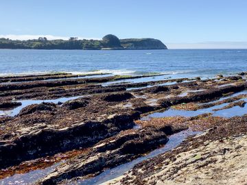 Parcelas en venta en Ancud con Vistas Privilegiadas al Mar