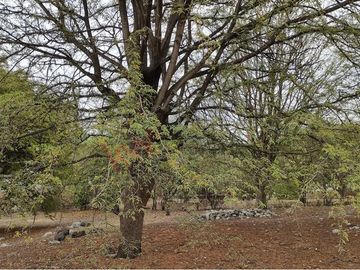Terreno en Venta en Yautepec, Morelos. Oportunidad!