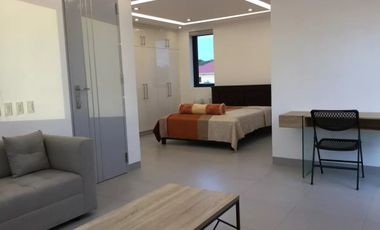 Orchard Dasmarinas Cavite Semi-Furnished House with Pool For Sale. With Income