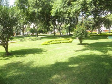 FRENTE A PARQUE (PARAM. 4 PISOS): AT 362 M2, AC 469 M2 5 HABIT, 4.5 $ 720,000
