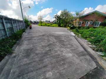 207 sqm. Subdivision Lot (corner lot) For Sale in Alegria Palms Dos Subdivision, Gabi, Cordova, Cebu