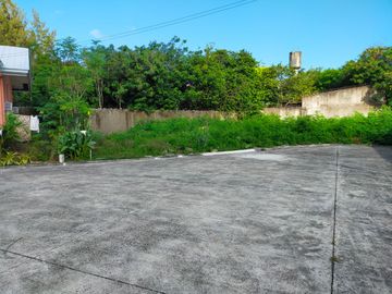 207 sqm. Subdivision Lot (corner lot) For Sale in Alegria Palms Dos Subdivision, Gabi, Cordova, Cebu