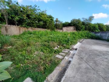 207 sqm. Subdivision Lot (corner lot) For Sale in Alegria Palms Dos Subdivision, Gabi, Cordova, Cebu