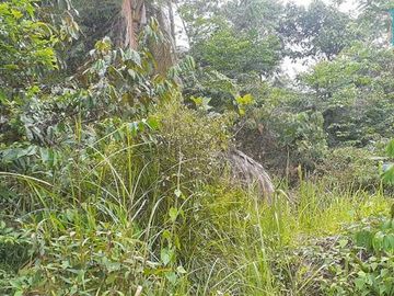 Subang land can be used for resorts or residential buildings.