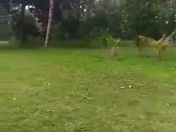 Subang land can be used for resorts or residential buildings.