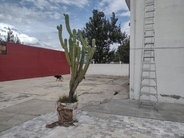 CASA EN ESQUINA COL. HUMBOLDT 1100 MTS. TERRENO