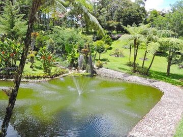 Gorgeous One Level Home with Private Lake in Heart of LLanogrande