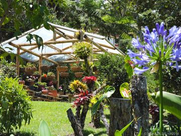 Gorgeous One Level Home with Private Lake in Heart of LLanogrande