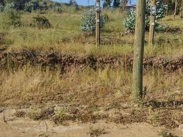LINDO TERRENO VENTA 1.000.M2 CONCON URBANIZADO $ 53.000.000