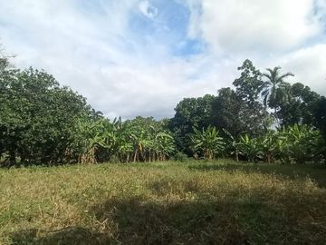 Vendo Terreno La Banda De Shilcayo / Tarapoto / Perú