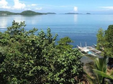 1.65 Hectares (4.08 acres), a beachfront estate with two (2) homes, a resident and a guest house, corporate-owned, situated in Sitio South Tagpao, Con