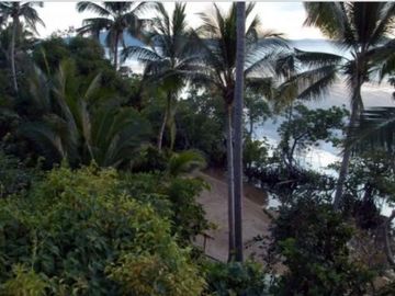 1.65 Hectares (4.08 acres), a beachfront estate with two (2) homes, a resident and a guest house, corporate-owned, situated in Sitio South Tagpao, Con