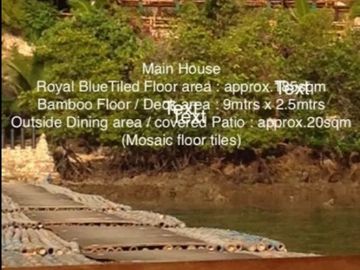 1.65 Hectares (4.08 acres), a beachfront estate with two (2) homes, a resident and a guest house, corporate-owned, situated in Sitio South Tagpao, Con