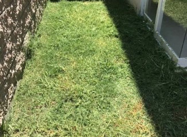Foto Renta Departamento nuevo, Fracc Zakia, cerca Zibata y Universidad Anahuac Queretarotaro