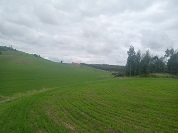 TERRENO EN VENTA 25 EXTARIAS CHINCHERO CUSCO