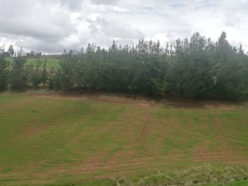 TERRENO EN VENTA 25 EXTARIAS CHINCHERO CUSCO