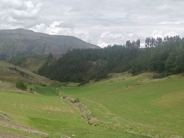 TERRENO EN VENTA 25 EXTARIAS CHINCHERO CUSCO