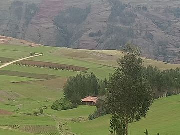 TERRENO EN VENTA 25 EXTARIAS CHINCHERO CUSCO