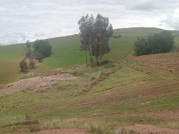 TERRENO EN VENTA 25 EXTARIAS CHINCHERO CUSCO