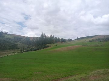 TERRENO EN VENTA 25 EXTARIAS CHINCHERO CUSCO