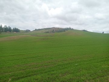 TERRENO EN VENTA 25 EXTARIAS CHINCHERO CUSCO