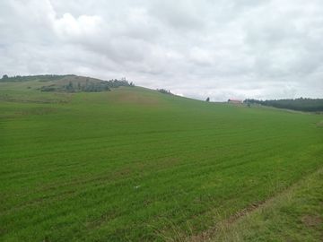 TERRENO EN VENTA 25 EXTARIAS CHINCHERO CUSCO