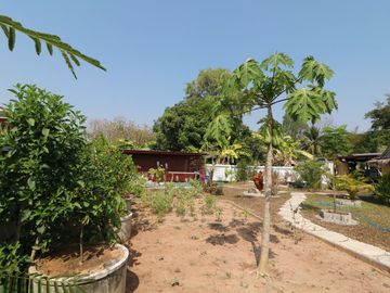 A Majestic Lanna Style 3 BRM, 3 BTH Home For Sale Set On 1 Rai, 25 Talang Wah, Khon San, Chaiyaphum, Thailand