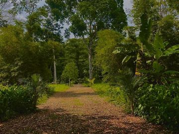 Terreno en  Venta en Puerto Maldonado