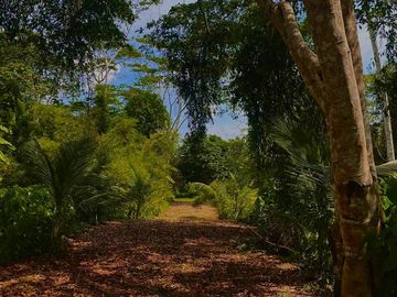 Terreno en  Venta en Puerto Maldonado