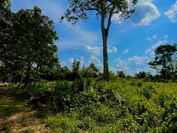 Terreno en  Venta en Puerto Maldonado