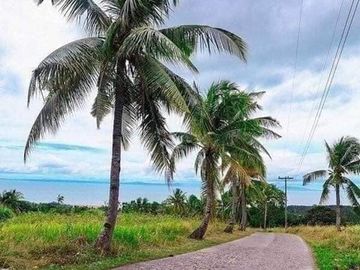 4- bedroom single attached house and lot for sale in Alberlyn Highland San Fernando Cebu.