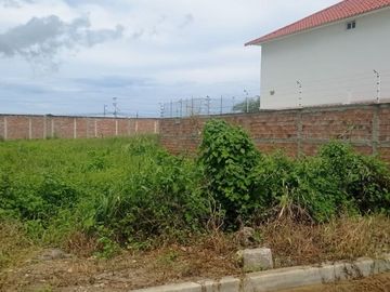 Terreno de venta en mata Zona sur