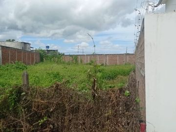 Terreno de venta en mata Zona sur