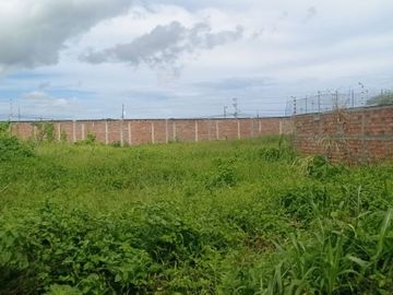 Terreno de venta en mata Zona sur