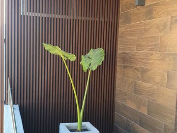 Casa con Hermosos Espacios
