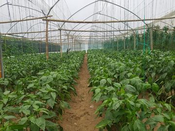 El Chaco, Oportunidad Venta Finca 97 Hect, Negociable