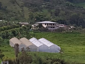El Chaco, Oportunidad Venta Finca 97 Hect, Negociable