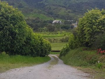 El Chaco, Oportunidad Venta Finca 97 Hect, Negociable