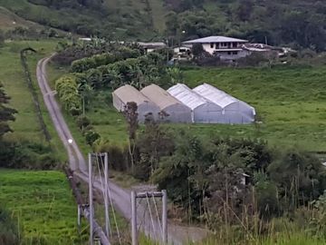 El Chaco, Oportunidad Venta Finca 97 Hect, Negociable