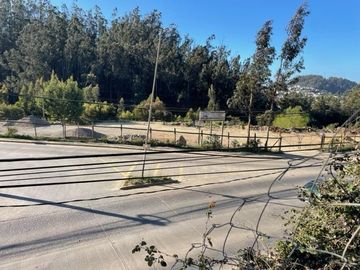VENDE  SITIO DE 500 M2 CONSTITUCIÓN