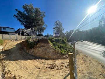 VENDE  SITIO DE 500 M2 CONSTITUCIÓN