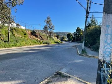 VENDE  SITIO DE 500 M2 CONSTITUCIÓN