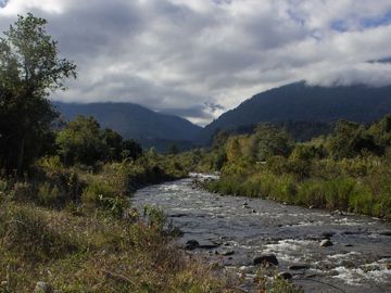 Parcela de 1,5 ha con casa, departamento y acceso a playa en Futrono, Lago Ranco