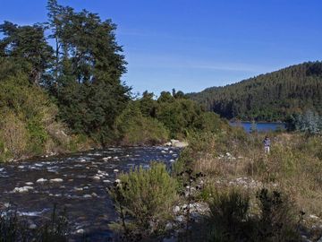 Parcela de 1,5 ha con casa, departamento y acceso a playa en Futrono, Lago Ranco