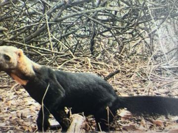 reserva natural de venta en manta bosque Pacoche