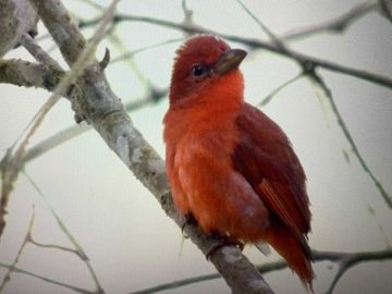 reserva natural de venta en manta bosque Pacoche