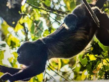 reserva natural de venta en manta bosque Pacoche