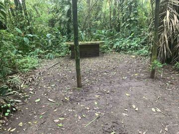 reserva natural de venta en manta bosque Pacoche
